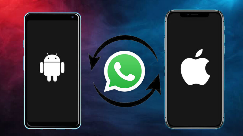 WhatsApp Android ve iOS